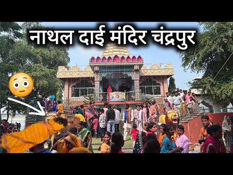 नाथल दाई मंदिर चंद्रपुर | Nathal Dai Mandir Chandrapur | Chandrapur City | Vlogs Rahul