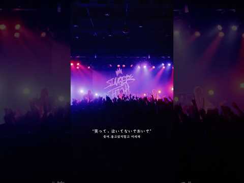 シンガーズハイ「ニタリ」LIVE