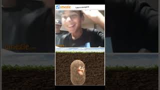 Omegle Trolling as a potato 😂