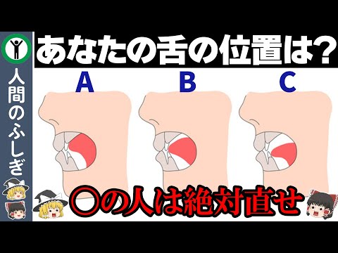 【ゆっくり解説】今すぐやめた方が良いクセ5選