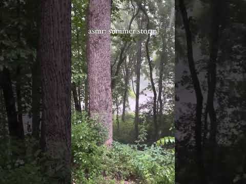 ASMR Rainstorm Video