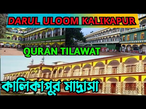 মধুর কন্ঠে কোরআন তেলাওয়াত | QURAN TILAWAT |QURAN RECITATION | SURA M"Minun |