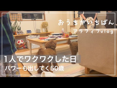 【サプライズ】秋を楽しむ/しまむら購入品