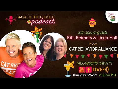 Cinco De Mayo with Cat Behavior Alliance | Back In The Closet | Two Crazy Cat Ladies