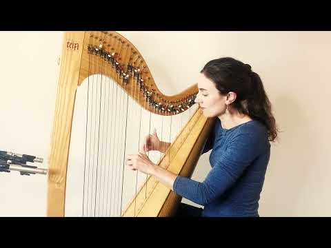 The Grey Silkie of Sule Skerry - Celtic lever harp solo (sheet music available!)