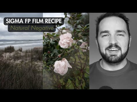 NEW FILM SIMULATION - Natural Negative - Sigma FP and FP L