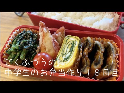 １８日目♫ごく普通の中学生のお弁当づくり♫好きなものいっぱい弁当♫