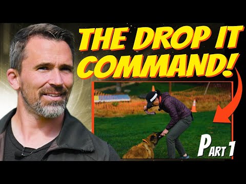 EASILY Teach Your Dog the 'Drop It' Command with Value Transfer