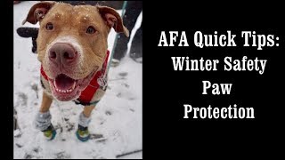 AFA TV Quick Tip: Winter Safety - Paw Protection