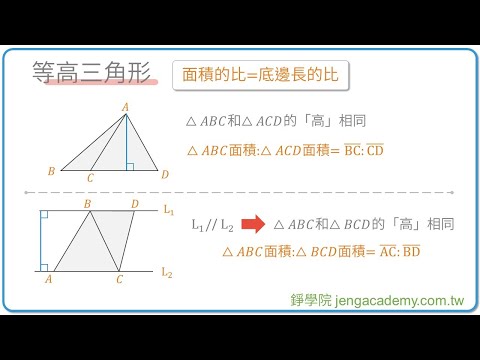 等高三角形 快速重點整理 | 相似形 | 國三上(9年級) | 國中數學 | 錚學院