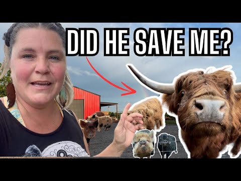 It's Farm Tour Time! Reality Of Life On Our Homestead