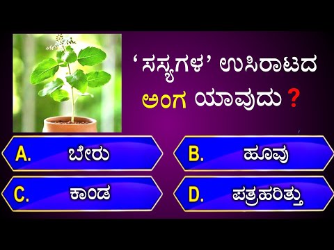 ಸಸ್ಯಗಳ ಉಸಿರಾಟದ ಅಂಗ ಯಾವುದು? || general knowledge quiz for competative exams || gk quiz in kannada