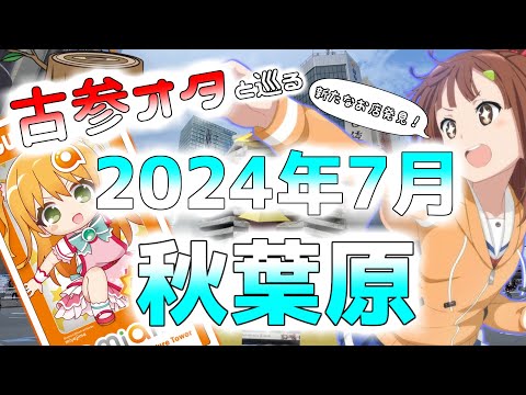 【あみあみタワー】 古参オタと巡る2024年7月の秋葉原 【メロン積み】　Akihabara in July 2024.