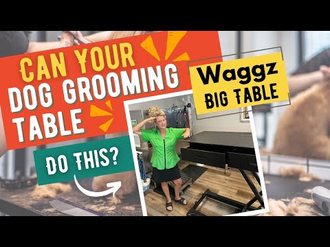 Can your Dog Grooming Table do this?