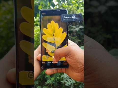 Prosumer 55mm Macro Lens for Smartphone Macro Photography #ytshorts #smartphone #photography