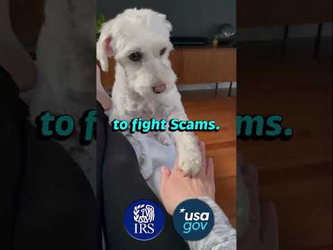 Fight scams