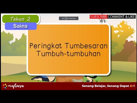 PERINGKAT TUMBESARAN TUMBUHAN