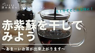 [饗#54] 簡単にできる薬膳茶。喘息気味の方やアレルギー体質の方におすすめ。赤紫蘇はこの時期だけなので、ぜひ作ってみてね！