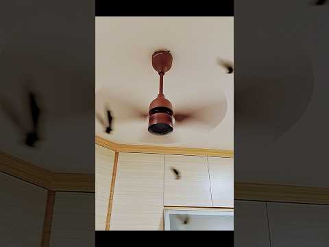 #atomberg #Renesa 600mm BLDC Motor Ceiling Fan #shorts #shortsyoutube #shortsfeed  #ceilingfan