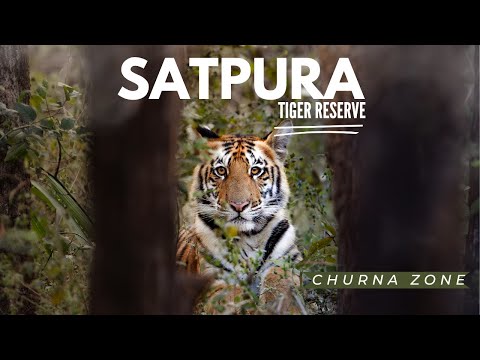 Satpura National Park | Churna Zone | Wildlife Safari