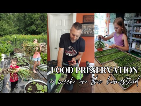 Never Preserve These Foods ~ and More Food Preservation Tips