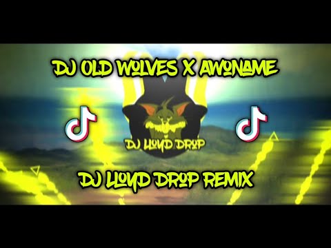 DJ Old Wolves x Awoname Slowed 2k24 (DJ Lloyd Drop Remix)