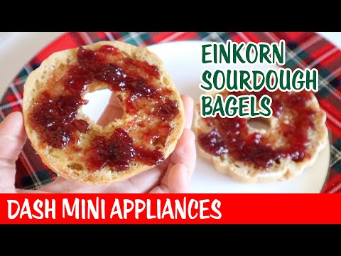 Einkorn Sourdough Bagels - Dash Mini Appliances - Day 13 Bonne Maman Advent Calendar 2024