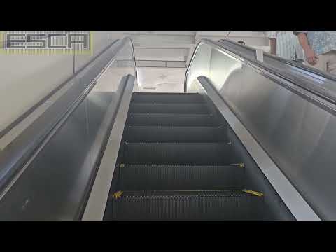 Keikyu Kamata Station Escalator Up Mitsubishi