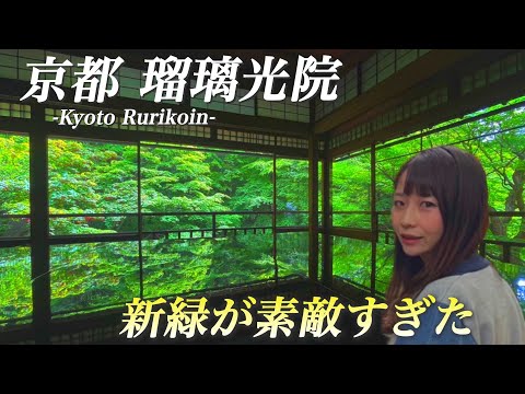 [Kyoto sightseeing vlog] We were overwhelmed by the mysterious beauty of Rurikoin!