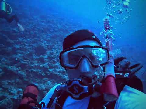 Ie Island Okinawa Japan Diving