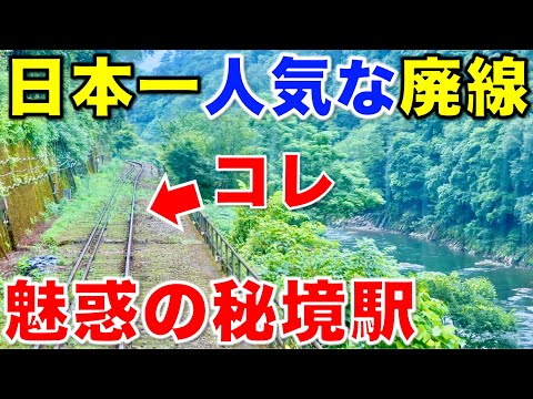 【山奥をグネグネ走行】これは凄い 日本一人気な廃線を走る観光列車がスリル満点すぎた