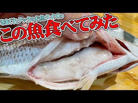 【メタボは正義！】内臓脂肪が凄すぎるお魚を食べたら美味しすぎた！！