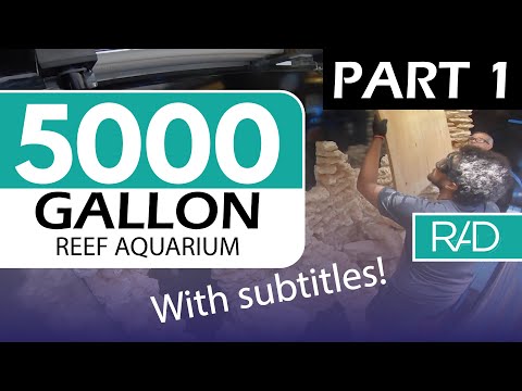 5000 GALLON REEF AQUARIUM IN FORT LAUDERDALE, FLORIDA BY REEF AQUARIA DESIGN PART 1