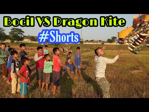 Bocil Vs Dragon Kite #Shorts