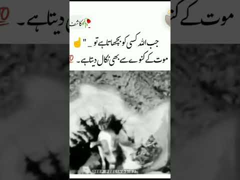 جب اللہ کسی کو بچھاتا ہے تو || Urdu shayari || Kashif editor || subscribe channelUrdu shayari Kashif