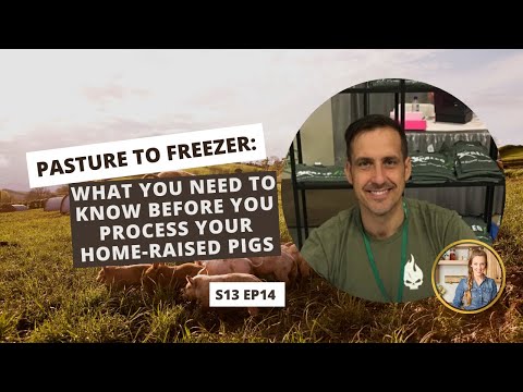 S13 E14: Pasture to Freezer: What You Need to Know Before You Process Your Home-Raised Pigs