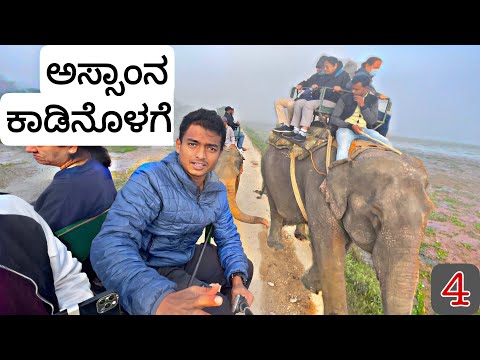 Elephant Safari | Kaziranga | Assam | Ep.4 | Dr Bro