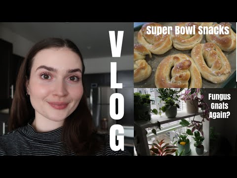 VLOG | Making Pretzel + Plant Update (Gnats Again)