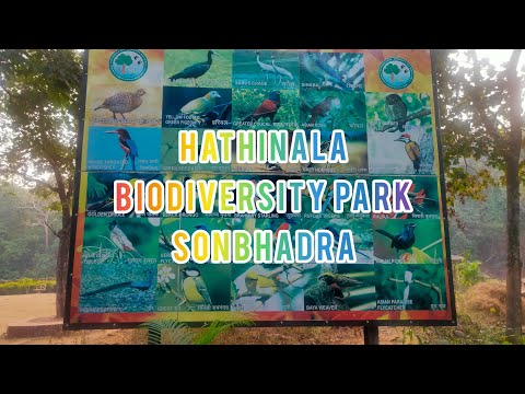 Biodiversity Point Sonbhadra