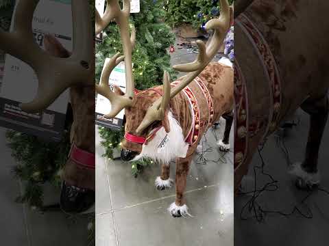 🦌 Home Depot Animatronic Reindeer #christmas  #shorts