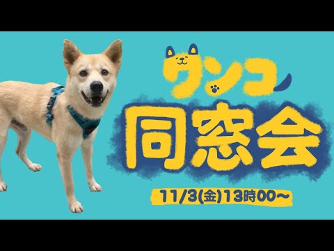 【LIVE】保護犬里帰り！ピースワンコ同窓会 🐕 🐕 🐕