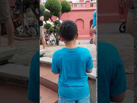 VID_20190702_161710.mp4