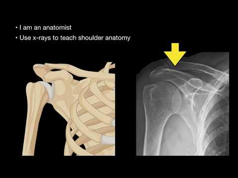 Anatomy of Shoulder X-rays