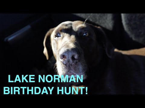 Lake Norman Birthday Hunt