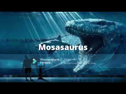 Sea Creatures that your glad are Extinct #Shorts #megalodon #lioleurodon