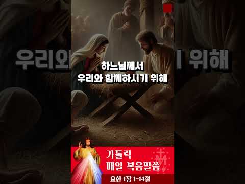 [가톨릭 복음말씀] 요한복음 1장 1-14절  | 프란치스코 교황님 강론 요약