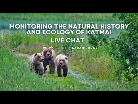 Monitoring the Natural History and Ecology of Katmai | Brooks Live Chat