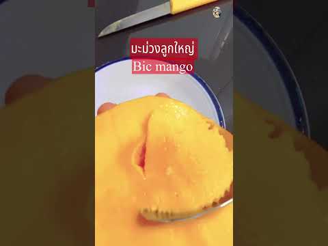 ใหญ่เกินต้านต่องลอง#short #shortsvideo #shortsupdate @ครูพี่ต๋อย nanta story