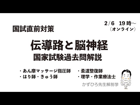 【かずひろ先生 解剖学】伝導路・脳神経 国試直前対策（あマ指、鍼灸、柔整、PTOT）