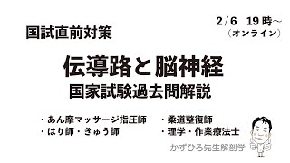 【かずひろ先生 解剖学】伝導路・脳神経 国試直前対策（あマ指、鍼灸、柔整、PTOT）